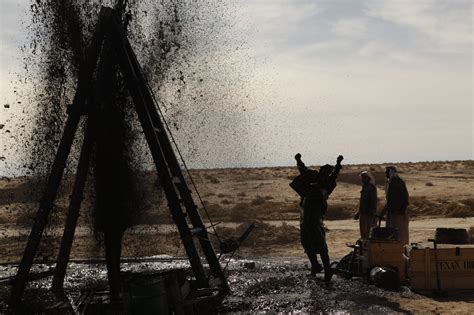 Day of the Falcon (2011)