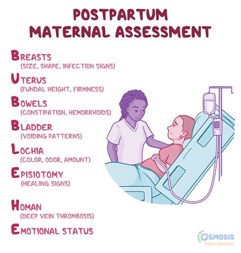 BUBBLE HE: Postpartum Maternal Assessment Acronym | Osmosis