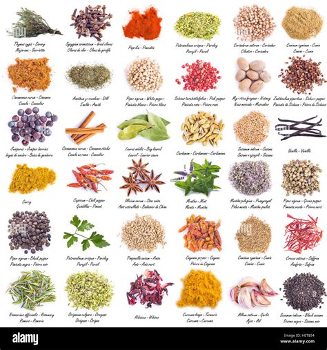 Spices set with a great assortment isolated on a white background and ...