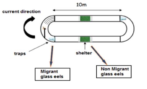 Image result for Flume Tutorial