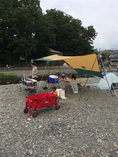 DataTable DataGridView C 的图像结果