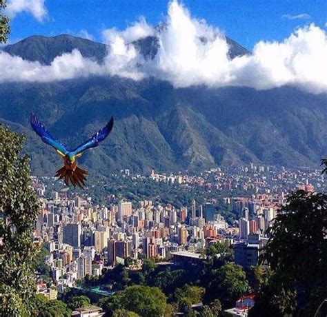 Montaña Ávila en Caracas