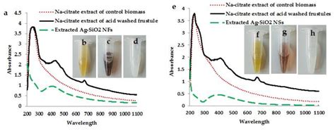 Diatom Mediated Production of Fluorescent Flower Shaped Silver-Silica ...