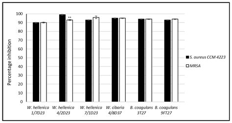 Antibiofilm Activity of Weissella spp. and Bacillus coagulans Isolated ...