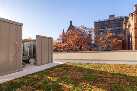 The Packer Collegiate Institute