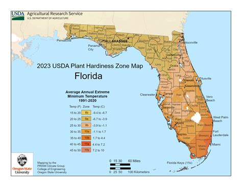 Florida Vegetable Planting Calendar: A Quick and Easy Guide