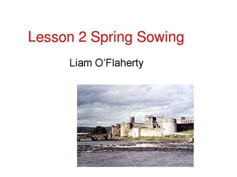 Spring Sowing | Liam O