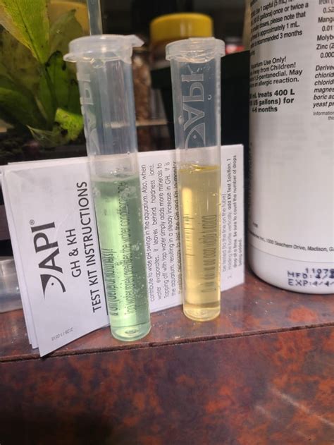 API Gh Test 的图像结果