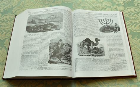 Image result for Douay-Rheims Haydock