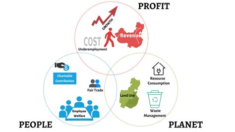 Triple Bottom Line 的图像结果