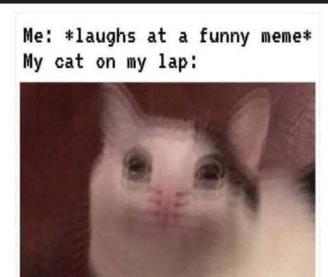 Image result for Android Meme Notification