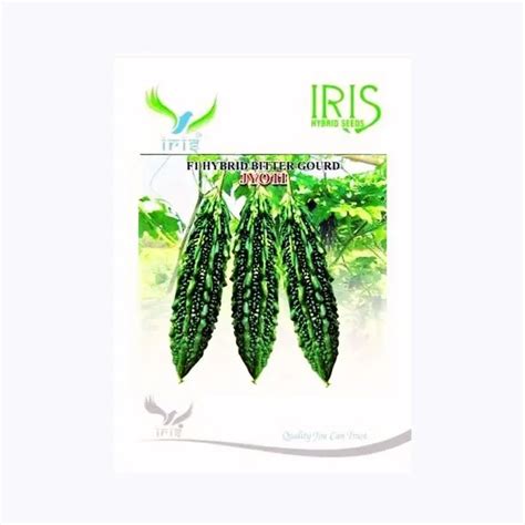 Buy Iris Jyoti Bitter Gourd Seeds Online - High-Quality Seeds at ...