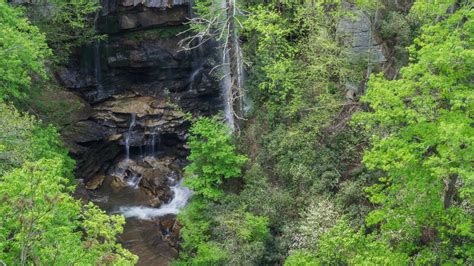 Meanderthals | Big Bradley Falls Overlook, Green River Game Lands