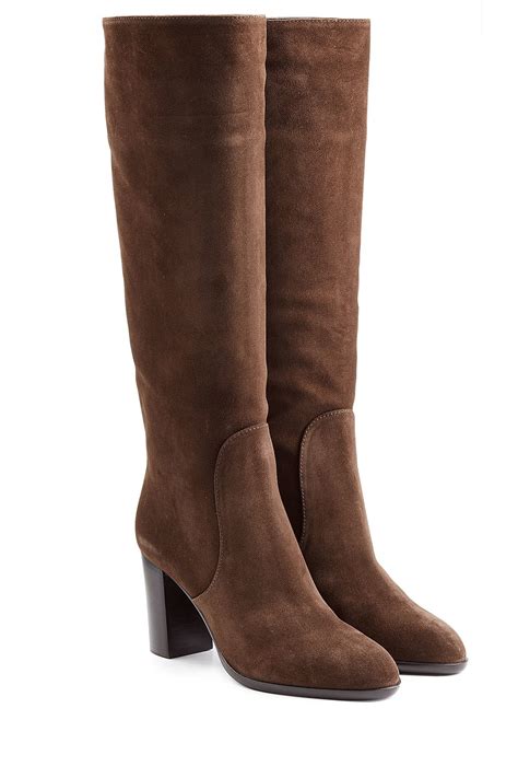 Sergio rossi Suede Knee Boots - Brown in Brown | Lyst