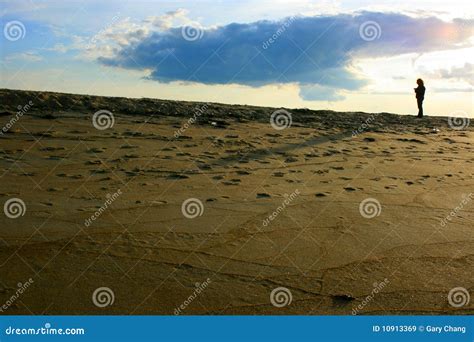 Plum Island Beach stock image. Image of massachusetts - 10913369