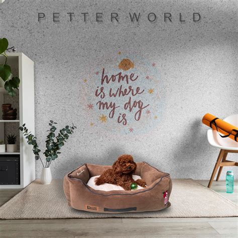 Luxury Lounger Beds For Dogs Online India | Petter World
