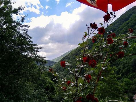 The Best Hotel Deals in Pastra (Mar 2026) - Tripadvisor