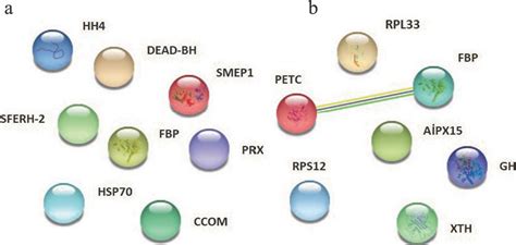 Image result for Bond String Group