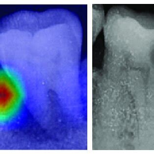 Image result for How Grad CAMWorks