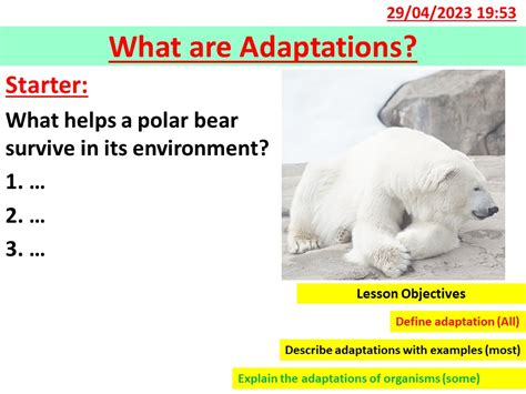 Adaptations KS3 的图像结果