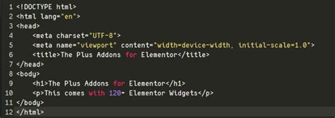 Image result for Programming Fonts
