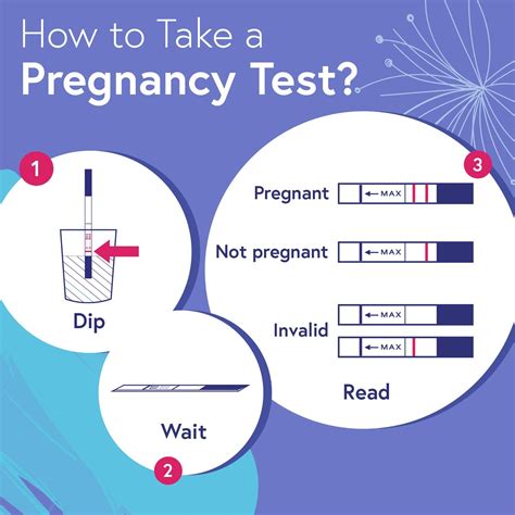 Image result for Ovulation Test