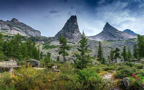 Bing Wallpaper Forest 的图像结果