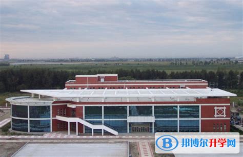 哈尔滨第三中学校国际部2023年招生办联系电话