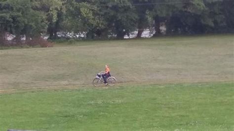 SHOALNOOK - CABINS ON THE JAMES RIVER (Galena) - Campground Reviews ...