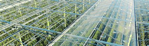 Fertigation / Greenhouse - GF Industry and Infrastructure Flow Solutions