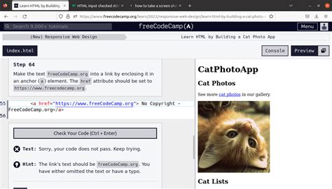 Image result for Step 54 Freecodecamp Python