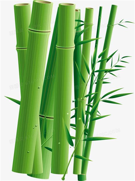 绿色卡通手绘小清新竹子竹筒免抠素材免费下载 - 觅知网