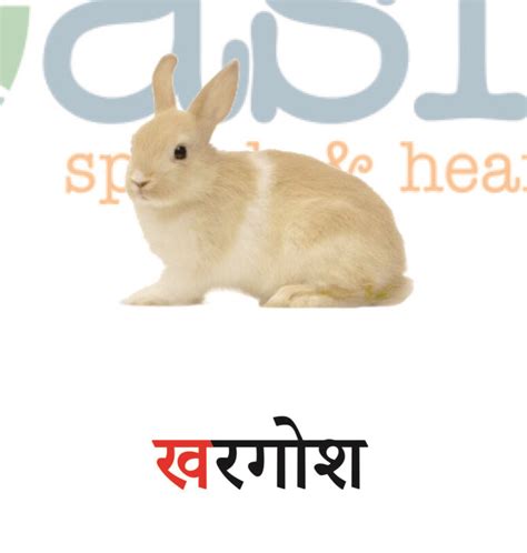 Empower Your Communication Skills with Our Hindi Learning Materials