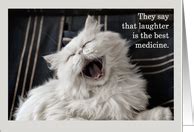 Get Well Soon Cards With Cats from Greeting Card Universe