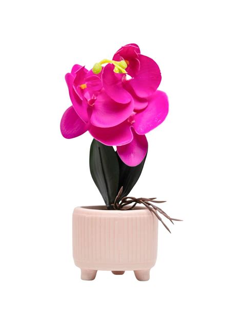 Purple Orchid With Ceramic Light Pink Pot - Market99 – MARKET99