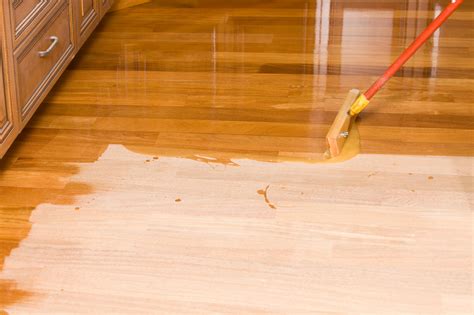 sanding-and-sealing-wood-floor | San Francisco Flood Repair