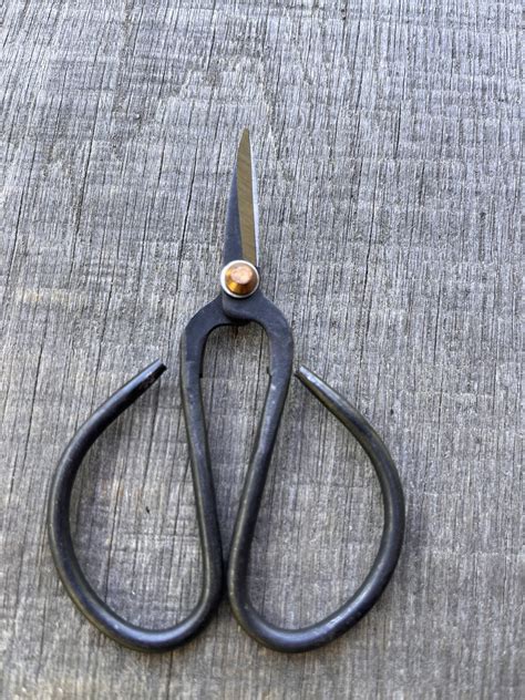 Image result for Scirrors Using