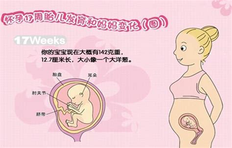不同的孕月，胎动位置、孕妈妈感觉各不同，了解一下更好找胎心