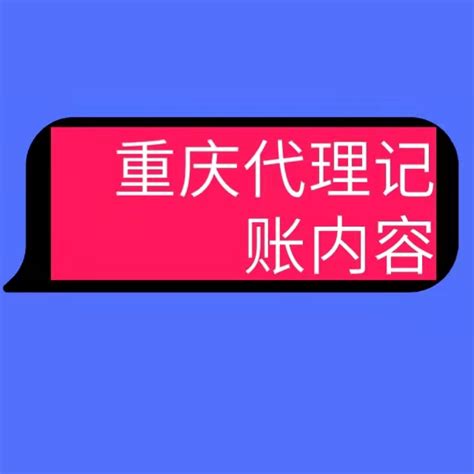 重庆两江新区会计代账公司_公司注册， 代账报税，企业服务