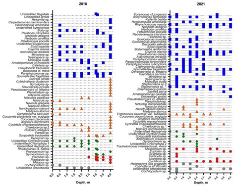 Taxonomic Composition of Protist Communities in the Coastal Stratified ...