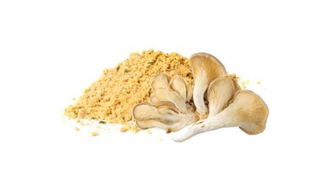 ‘Huge potential’ for natural polysaccharides application in beauty products