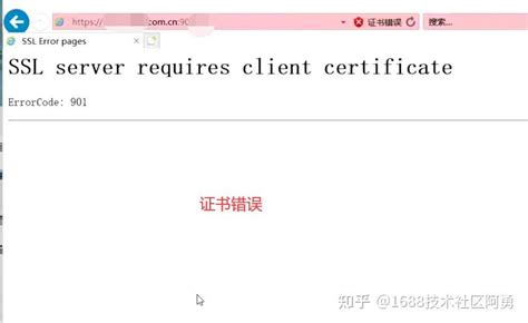 Web Client 9000 的图像结果