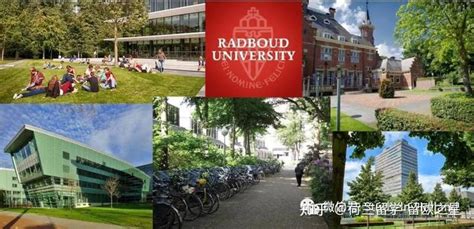 2021-22学年荷兰留学年终报告｜国际学生在荷兰最好就业的专业竟然是…… - 知乎