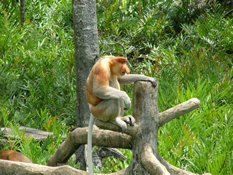 Use Abdul Qayyum. Best experience ever. Memorable day. ENGLISH SPEAKING ...