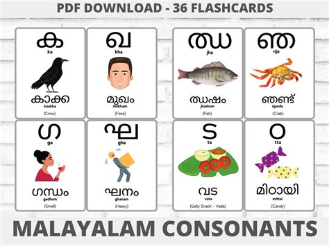 Image result for Comments Used in JavaScript