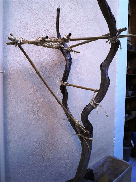 Image result for Rust Cat Tree