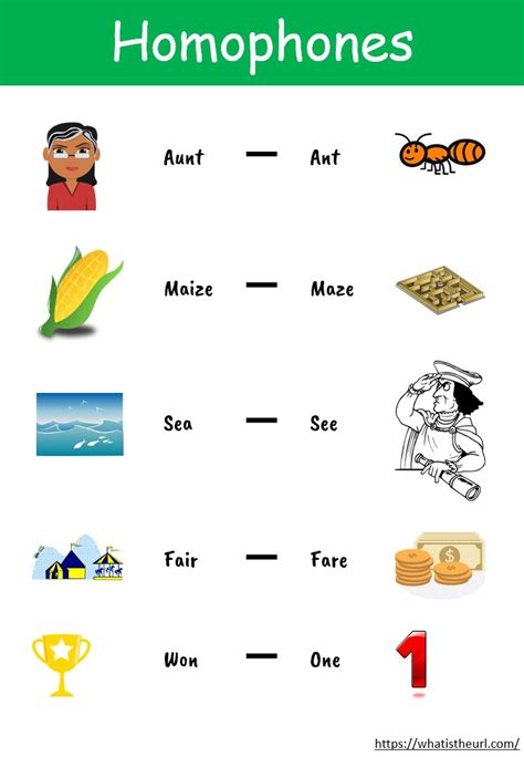 Image result for Homophones Chart