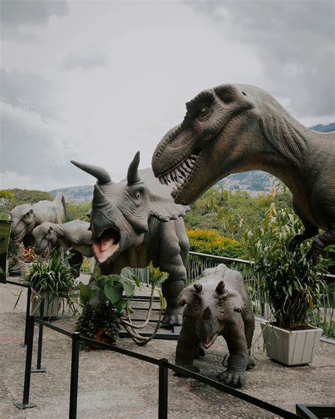 Realistic Dinosaurs Photos, Download The BEST Free Realistic Dinosaurs ...