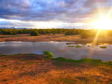 Beauty of Africa 的图像结果
