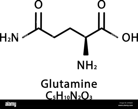 Glutamine Basic at Quyen Elliott blog
